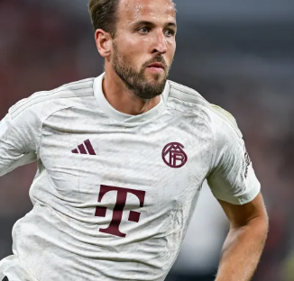 了他的潜力 了他的潜力